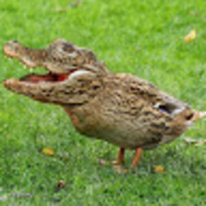 Meet your Posher, Mike